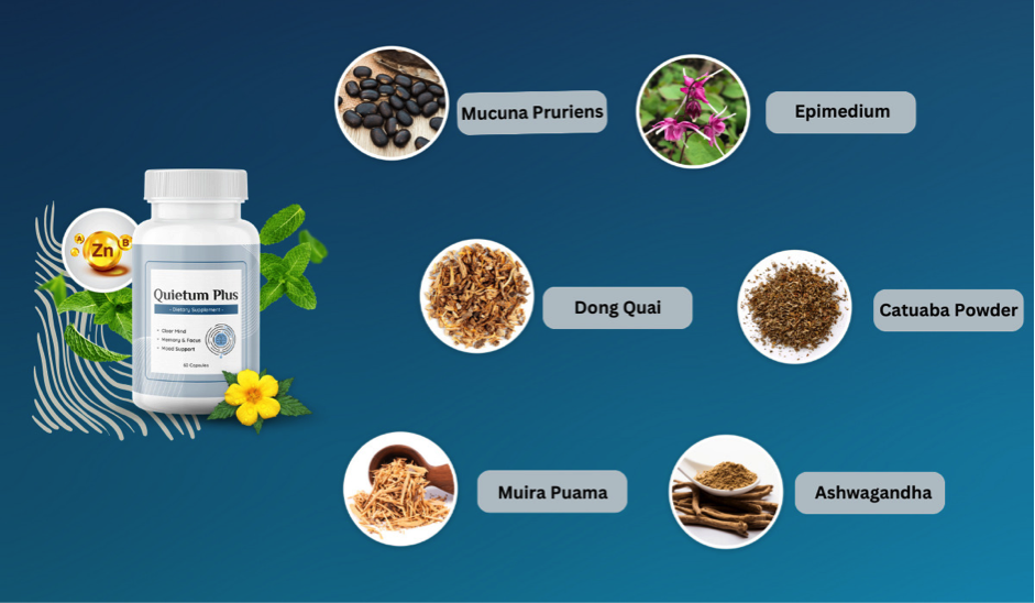 quietum-plus-ingredients
