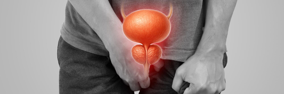 Understanding Men’s Wellness and Prostate Health in Modern Life